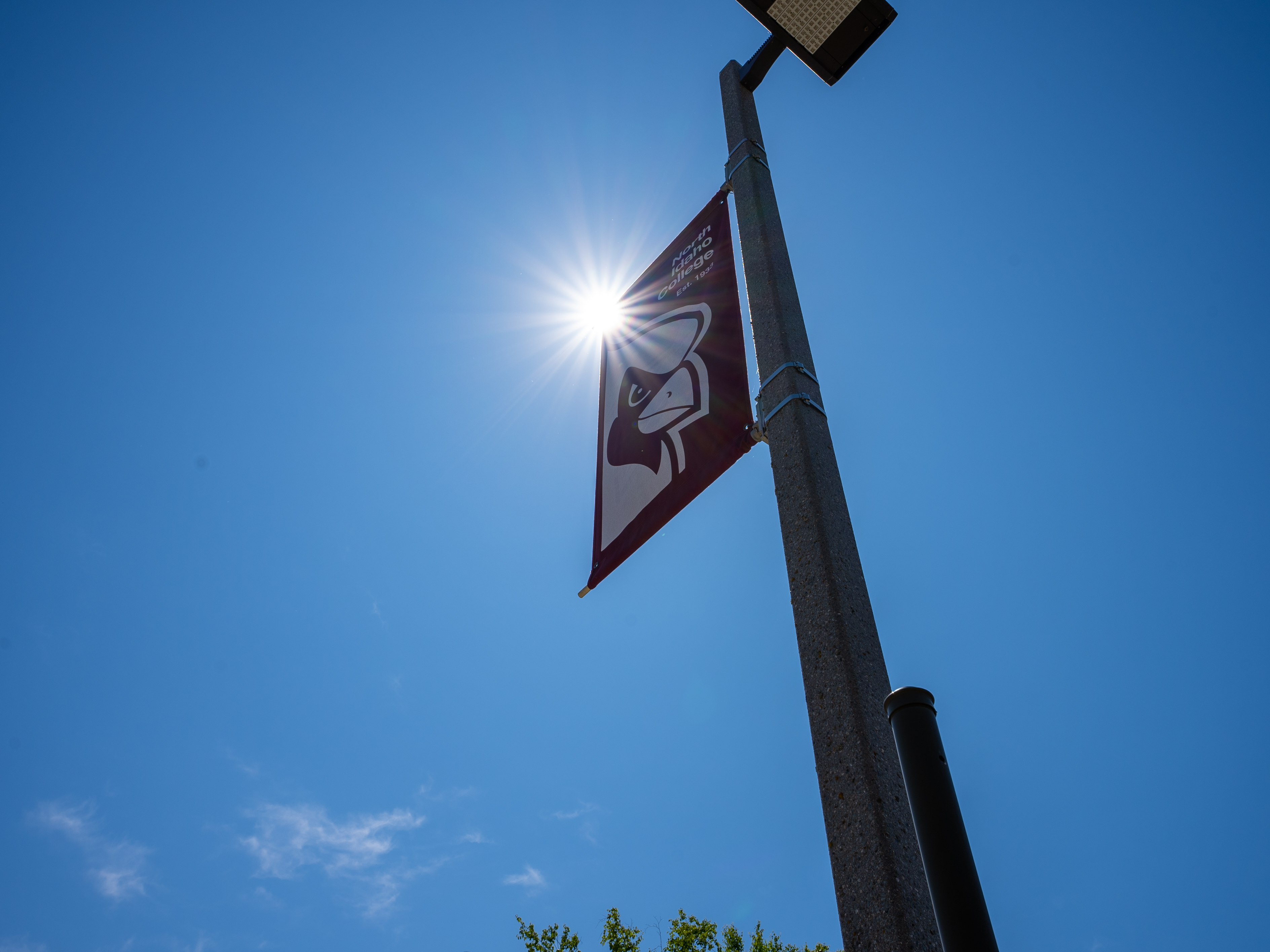 Cardinal banner on campus light pole